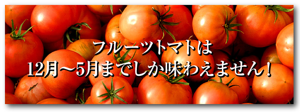 フルーツトマト（12月から5月まで）