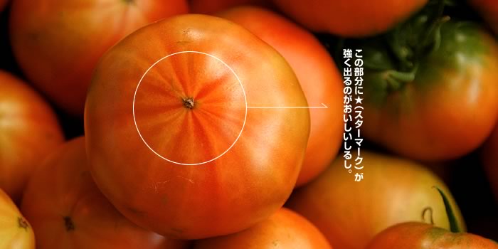 トマトのおしり部分に表れるスターマーク